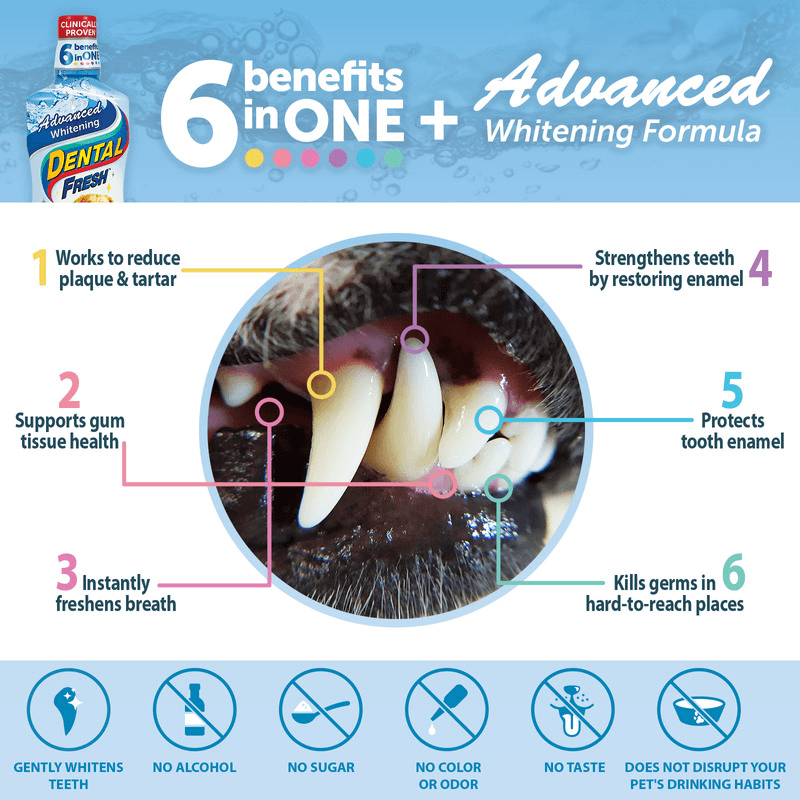 Water Additive For Dogs & Cats - Advanced Whitening - J & J Pet Club - Dental Fresh