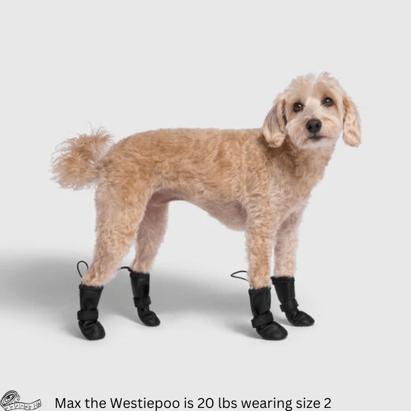 Waterproof Rain Boots Black pcs – J J Pet Club