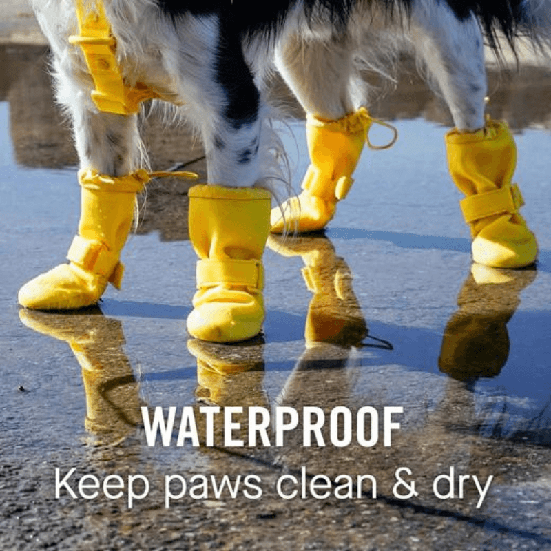 Waterproof Rain Boots - Black - 4 pcs - J & J Pet Club - Canada Pooch