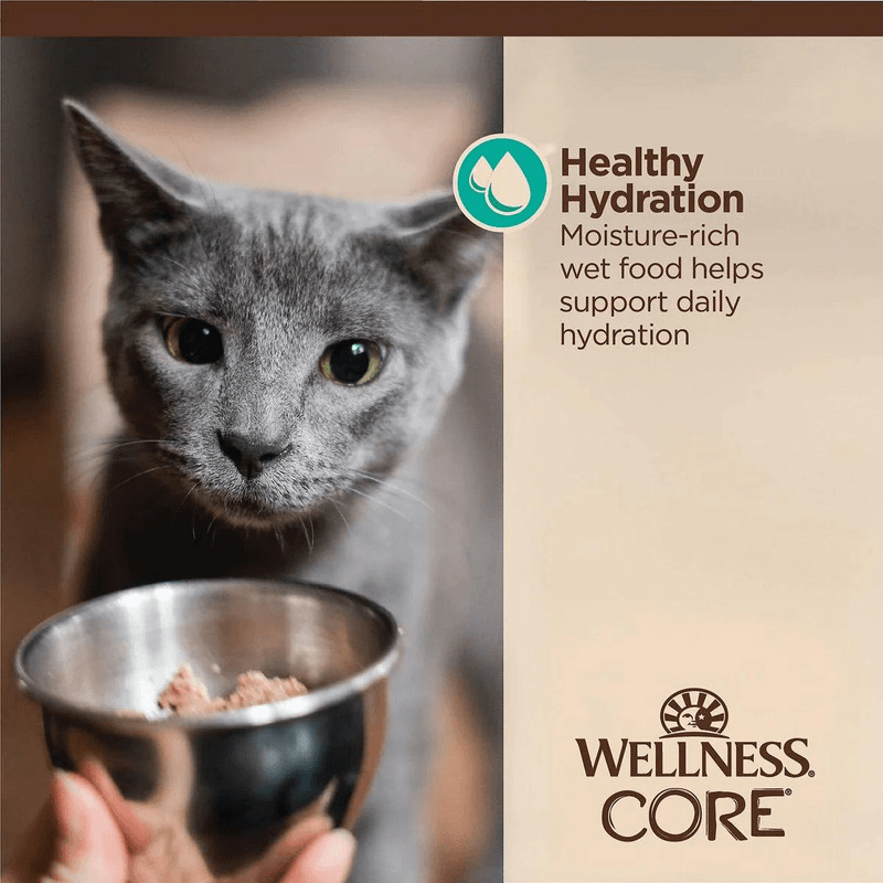 Wet Cat Food - CORE Tiny Tasters - Flaked - Tuna & Salmon Recipe in Broth - 1.75 oz pouch - J & J Pet Club - Wellness