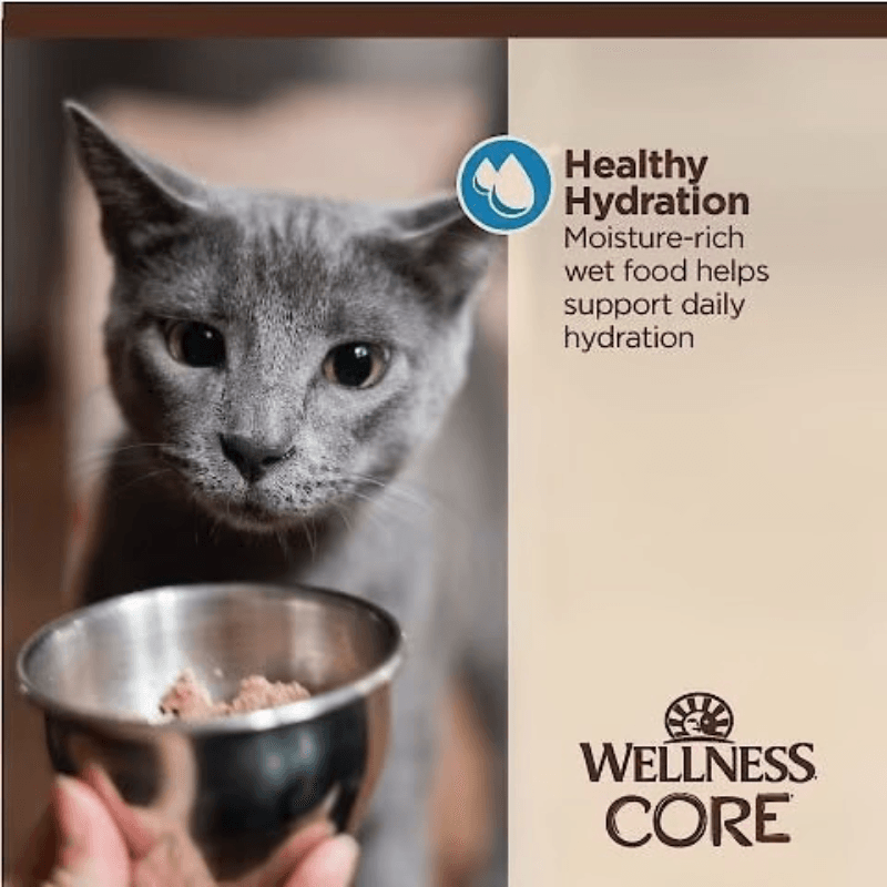 Wet Cat Food - CORE Tiny Tasters - Flaked - Tuna & Shrimp Recipe in Broth - 1.75 oz pouch - J & J Pet Club - Wellness