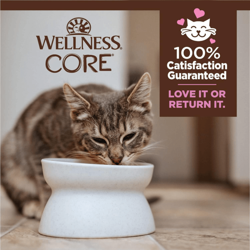 Wet Cat Food - CORE Tiny Tasters - Kitten Minced - Chicken Recipe - 1.75 oz pouch - J & J Pet Club - Wellness