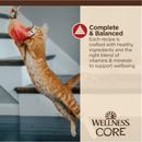 Wet Cat Food - CORE Tiny Tasters - Minced - Chicken & Beef Recipe in Gravy - 1.75 oz pouch - J & J Pet Club - Wellness
