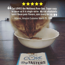 Wet Cat Food - CORE Tiny Tasters - Smooth Paté - Tuna & Salmon Recipe - 1.75 oz pouch - J & J Pet Club - Wellness