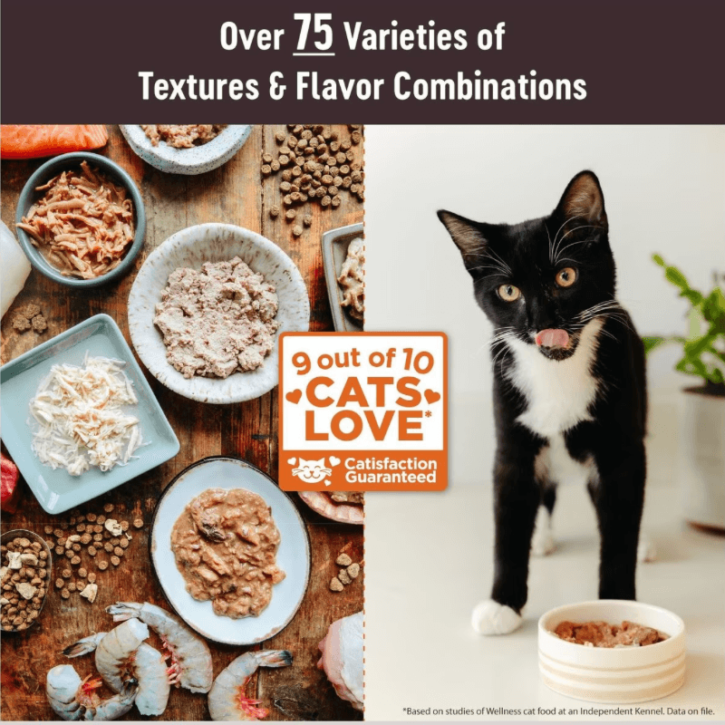 Wet Cat Food - CORE Tiny Tasters - Smooth Paté - Tuna Recipe - 1.75 oz pouch - J & J Pet Club - Wellness