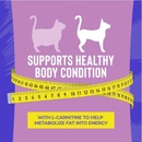 Wet Cat Food - LUAU lean GELÉE - Variety Pack - 2.8 oz pouch, pack of 12 - J & J Pet Club - Tiki Cat