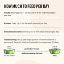 Wet Cat Food - MINCED - Grain Free Turkey Recipe - J & J Pet Club - The Honest Kitchen