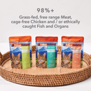 Wet Cat Food - Variety Box - 3 oz pouch, box of 12 - J & J Pet Club - Feline Natural