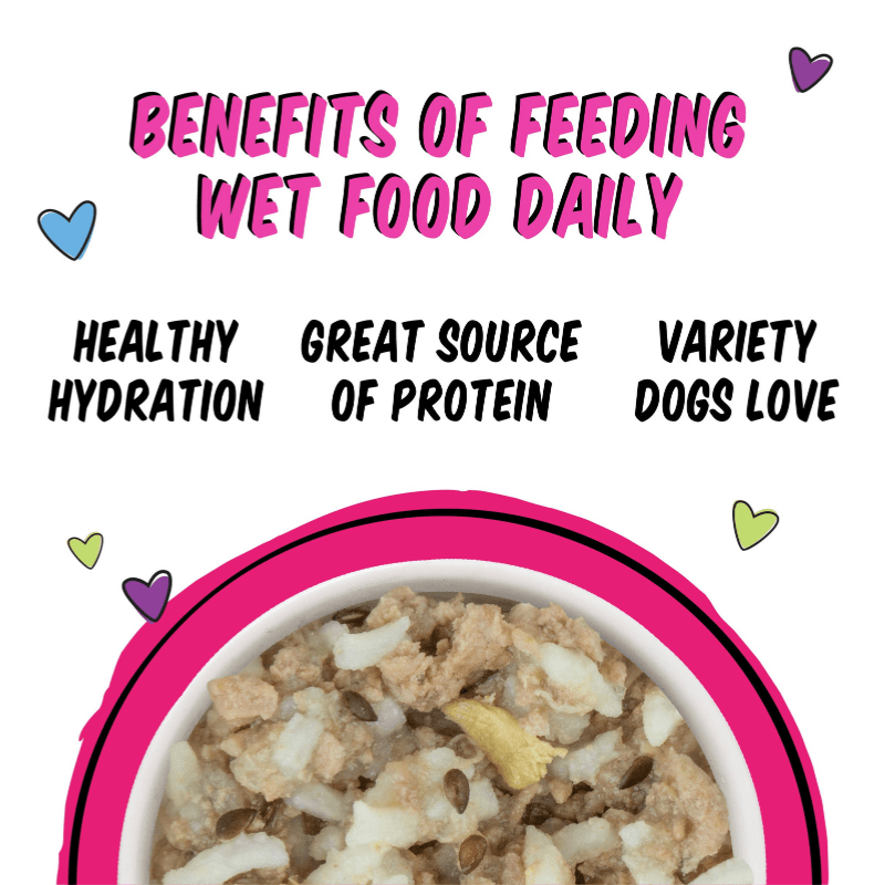 Wet Dog Food - B.F.F. Fun Size Meals - I'm In Luck - with a Side of Rice & Breast of Duck - 2.75 oz cup - J & J Pet Club - Weruva