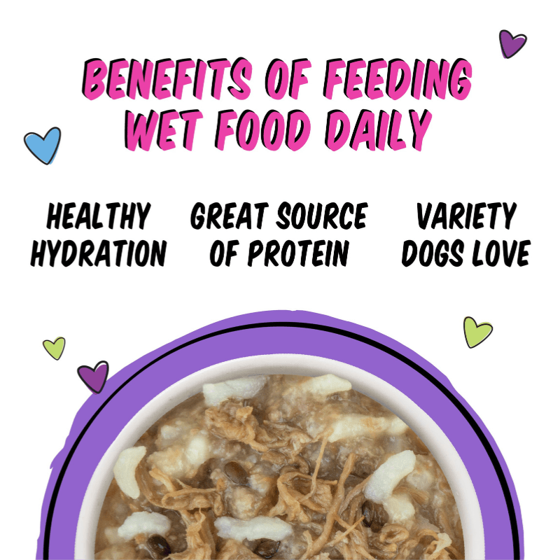 Wet Dog Food - B.F.F. Fun Size Meals - Oh So Nice - with Sirloin Tips & Rice - 2.75 oz cup - J & J Pet Club - Weruva