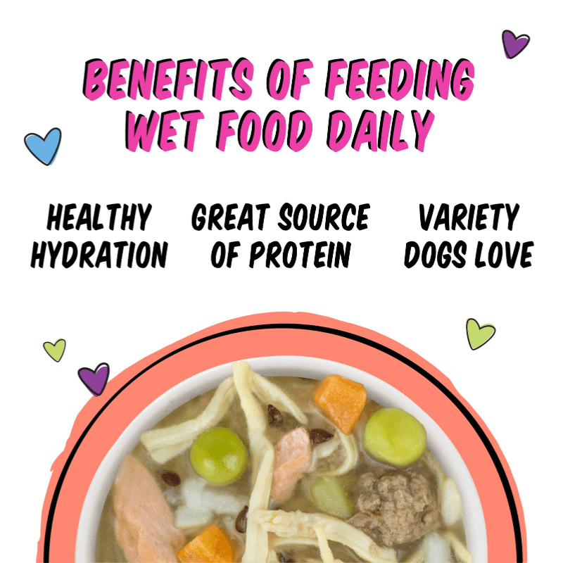 Wet Dog Food - B.F.F. Fun Size Meals - We Be Jammin' - with Chicken Breast, Rice, Pumpkin & Salmon - 2.75 oz cup - J & J Pet Club - Weruva