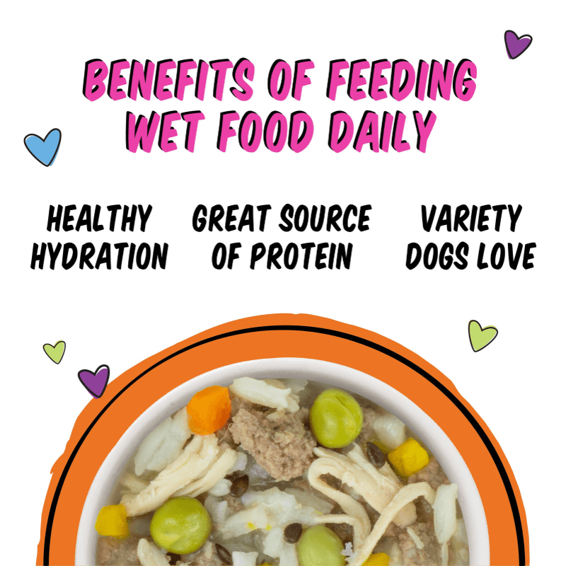 Wet Dog Food - B.F.F. Fun Size Meals - You My Munchkin - with Chicken Breast, Rice & Pumpkin - 2.75 oz cup - J & J Pet Club - Weruva