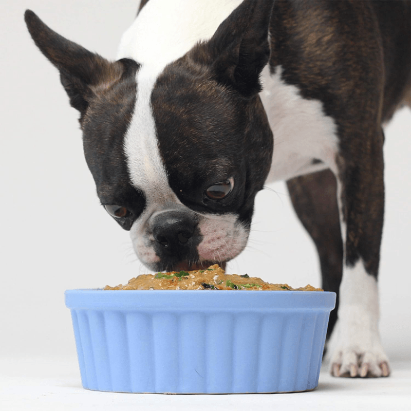 Wet Dog Food - Harvest Chicken Rustic Stew - 12.5 oz - J & J Pet Club