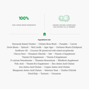 Wet Dog Food - Harvest Chicken Rustic Stew - 12.5 oz - J & J Pet Club - Open Farm