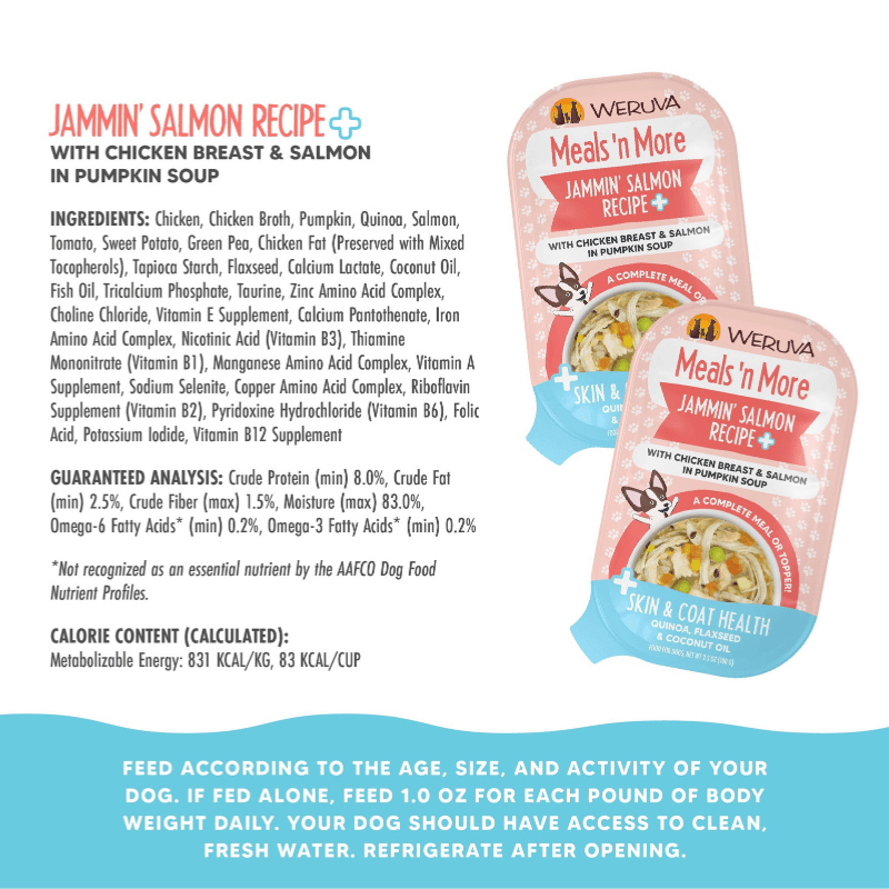 Wet Dog Food - Meals' n More - Jammin' Salmon Recipe + Skin & Coat Health - 3.5 oz cup - J & J Pet Club - Weruva
