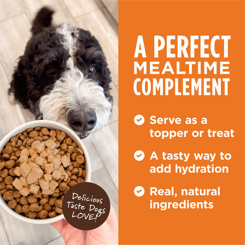 Wet Dog Food Topper - HEALTHY CRAVINGS - Real Chicken Recipe - 3 oz pouch - J & J Pet Club - Instinct