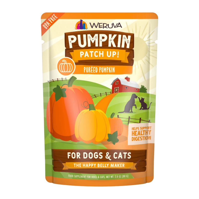 Wet Food Supplement For Dogs & Cats - PUMPKIN PATCH UP! - Puréed Pumpkin - J & J Pet Club - Weruva