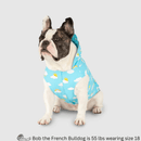 Wet Reveal Torrential Tracker - Blue Clouds - J & J Pet Club - Canada Pooch