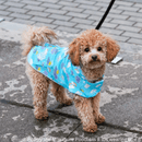 Wet Reveal Torrential Tracker - Blue Clouds - J & J Pet Club - Canada Pooch