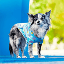 Wet Reveal Torrential Tracker - Blue Clouds - J & J Pet Club - Canada Pooch