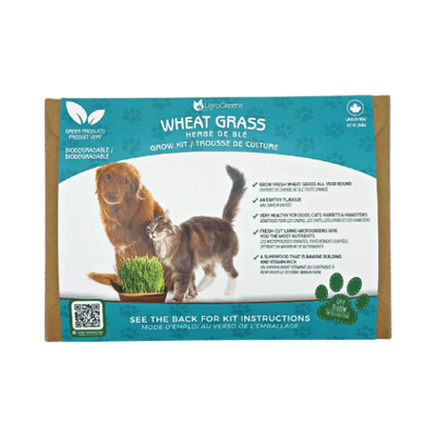 Wheat Grass Grow Kit - J & J Pet Club - UgroGreens