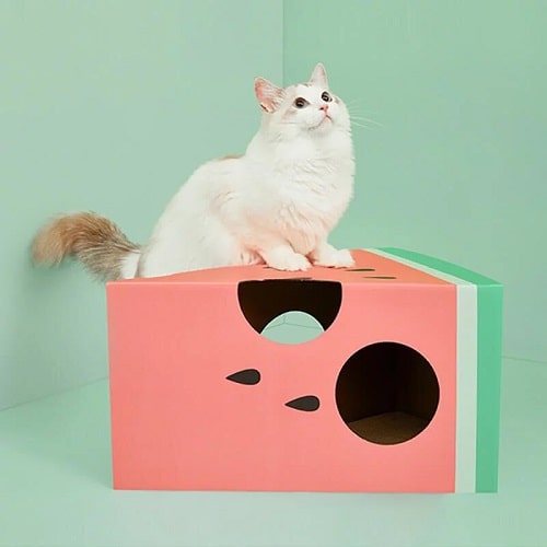 Watermelon Cat House & Scratcher Vetreska Cat Toys.