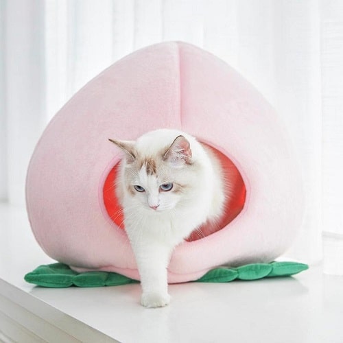 Peach Cat Bed & House Vetreska Cat Beds.