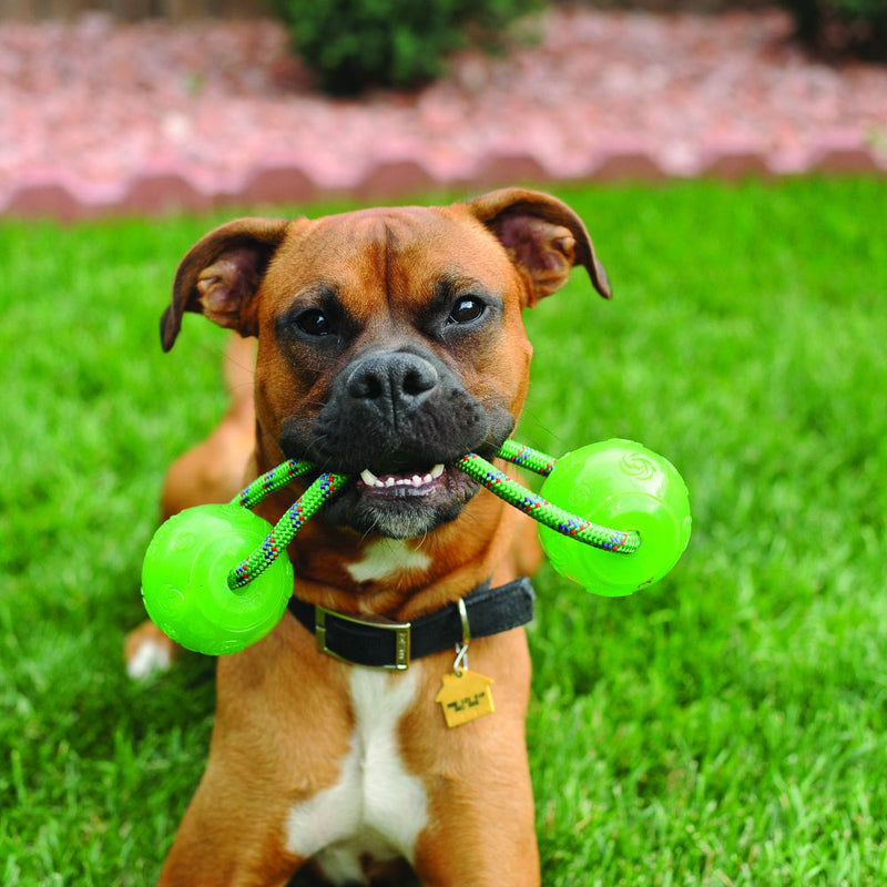 Squeezz Ball With Rope - L Kong Dog Toys.