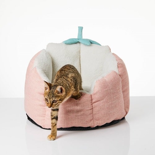 Pet Bed - Strawberry Bed Petkit Pet Bed.