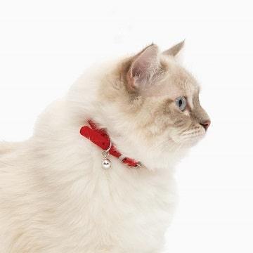 Adjustable Nylon Cat Collar, 20-33 cm (8-13 in) - J & J Pet Club - Catit