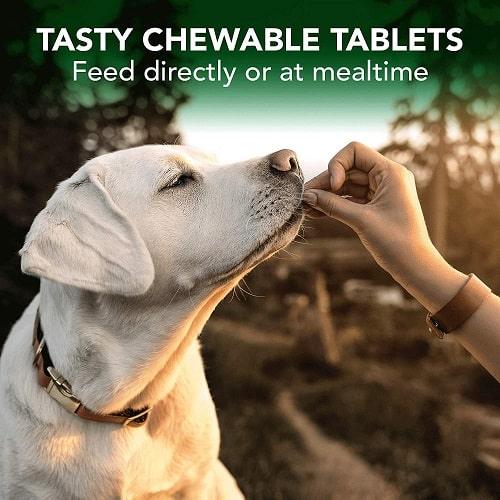 Adult Dog Supplement - Seasonal Allergy Support Tablets - 60 Tabs - J & J Pet Club - Vet's Best