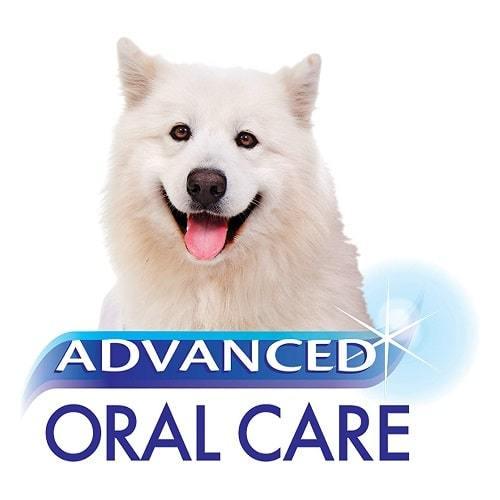 Advanced Oral Care - Dog Toothpaste - Ultra Clean Tartar Control - 2.5 oz - J & J Pet Club - Nylabone