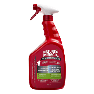Advanced Stain and Odor Eliminator for Dogs - 32 oz - J & J Pet Club - Nature's Miracle