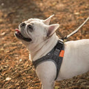Air Pro Dog Harness - J & J Pet Club - Petkit