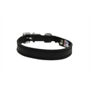 Alpine Cat Collar - Midnight Black - J & J Pet Club - Angel Pet Supplies