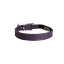 Alpine Cat Collar - Orchid Purple - J & J Pet Club - Angel Pet Supplies