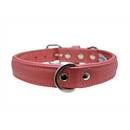 Alpine Plain Padded Leather Dog Collar - Bubblegum Pink - J & J Pet Club - Angel Pet Supplies
