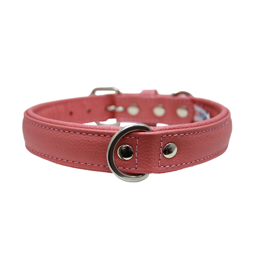 Alpine Plain Padded Leather Dog Collar - Bubblegum Pink - J & J Pet Club - Angel Pet Supplies