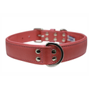 Alpine Plain Padded Leather Dog Collar - Bubblegum Pink - J & J Pet Club - Angel Pet Supplies