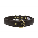 Alpine Plain Padded Leather Dog Collar - Chocolate Brown - J & J Pet Club - Angel Pet Supplies