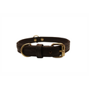 Alpine Plain Padded Leather Dog Collar - Chocolate Brown - J & J Pet Club - Angel Pet Supplies