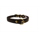 Alpine Plain Padded Leather Dog Collar - Chocolate Brown - J & J Pet Club - Angel Pet Supplies