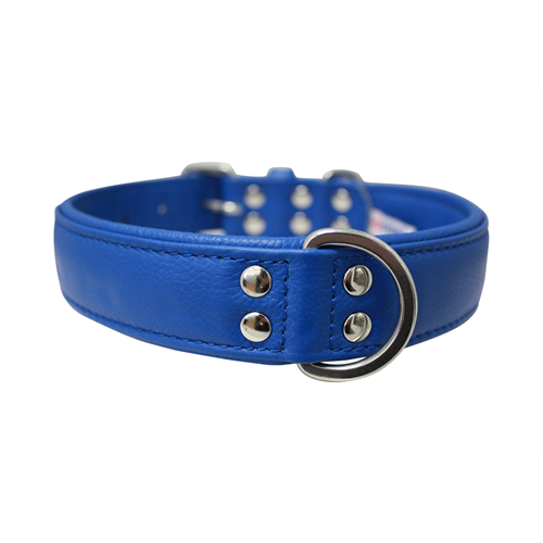 Alpine Plain Padded Leather Dog Collar - Cobalt Blue - J & J Pet Club - Angel Pet Supplies