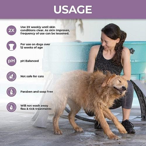 Antiparasitic & Antiseborrheic Medicated Dog Shampoo - 16 fl oz - J & J Pet Club - Veterinary Formula Clinical Care