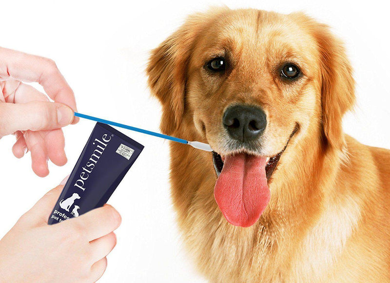Applicator Swabs - Professional Pet Dental Swabs - J & J Pet Club - Petsmile