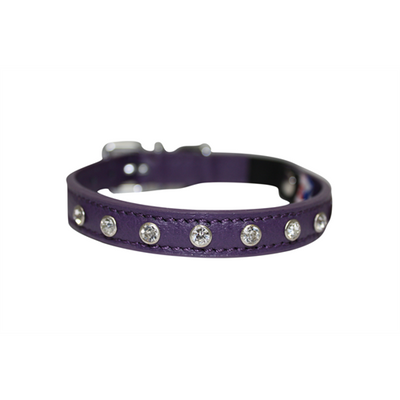 Athens Cat Collar with Rhinestones - Orchid Purple - J & J Pet Club - Angel Pet Supplies