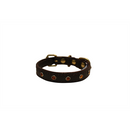 Athens Dog Collar with Rhinestones - Chocolate Brown - J & J Pet Club - Angel Pet Supplies
