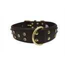 Athens Dog Collar with Rhinestones - Chocolate Brown - J & J Pet Club - Angel Pet Supplies