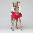 冬日荒野犬用大衣