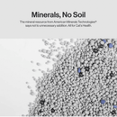 Bentonite Cat Litter - 6 kg - J & J Pet Club - Pidan